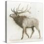 Elk v.2-James Wiens-Stretched Canvas