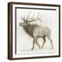 Elk v.2-James Wiens-Framed Art Print