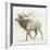 Elk v.2-James Wiens-Framed Art Print