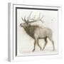 Elk v.2-James Wiens-Framed Art Print