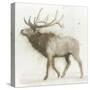 Elk v.2-James Wiens-Stretched Canvas