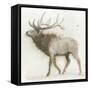 Elk v.2-James Wiens-Framed Stretched Canvas