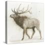 Elk v.2-James Wiens-Stretched Canvas