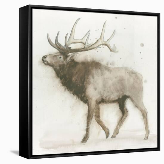 Elk v.2-James Wiens-Framed Stretched Canvas