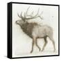 Elk v.2-James Wiens-Framed Stretched Canvas