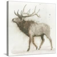 Elk v.2-James Wiens-Stretched Canvas