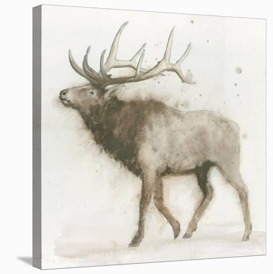 Elk v.2-James Wiens-Stretched Canvas