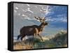 Elk with Velvet Covered Antlers, Rocky Mountain National Park, Colorado, USA-Larry Ditto-Framed Stretched Canvas