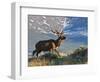 Elk with Velvet Covered Antlers, Rocky Mountain National Park, Colorado, USA-Larry Ditto-Framed Photographic Print