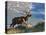 Elk with Velvet Covered Antlers, Rocky Mountain National Park, Colorado, USA-Larry Ditto-Stretched Canvas