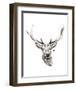 Elk-Philippe Debongnie-Framed Art Print