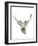 Elk-Philippe Debongnie-Framed Art Print