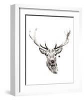 Elk-Philippe Debongnie-Framed Art Print