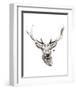 Elk-Philippe Debongnie-Framed Art Print