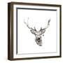 Elk-Philippe Debongnie-Framed Giclee Print