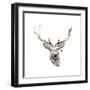 Elk-Philippe Debongnie-Framed Giclee Print