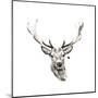 Elk-Philippe Debongnie-Mounted Giclee Print