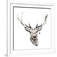 Elk-Philippe Debongnie-Framed Giclee Print