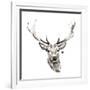 Elk-Philippe Debongnie-Framed Giclee Print