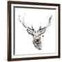 Elk-Philippe Debongnie-Framed Giclee Print