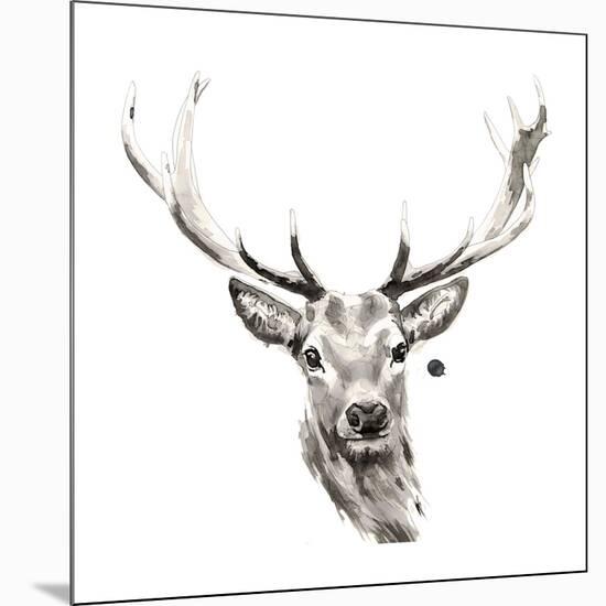 Elk-Philippe Debongnie-Mounted Giclee Print