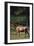 Elk-DLILLC-Framed Premium Photographic Print