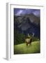 Elk-null-Framed Photographic Print