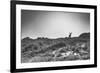 Elk-Pixie Pics-Framed Photographic Print