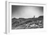 Elk-Pixie Pics-Framed Photographic Print