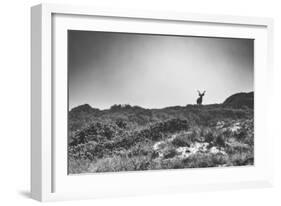 Elk-Pixie Pics-Framed Photographic Print