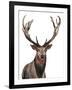 Elk-Elizabeth Medley-Framed Art Print