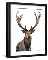 Elk-Elizabeth Medley-Framed Art Print