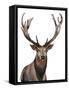 Elk-Elizabeth Medley-Framed Stretched Canvas