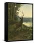 Elk-Oliver Kemp-Framed Stretched Canvas