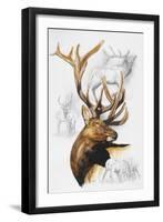 Elk-Barbara Keith-Framed Giclee Print