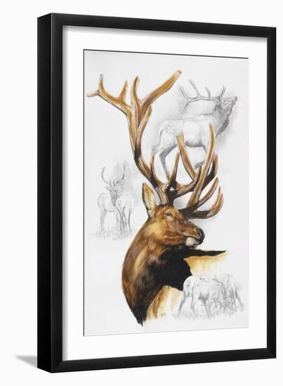 Elk-Barbara Keith-Framed Giclee Print