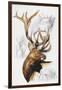 Elk-Barbara Keith-Framed Giclee Print