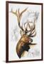 Elk-Barbara Keith-Framed Giclee Print