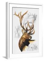 Elk-Barbara Keith-Framed Giclee Print
