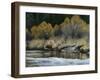 Elk-Rusty Frentner-Framed Giclee Print