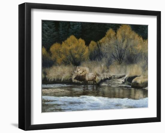 Elk-Rusty Frentner-Framed Giclee Print