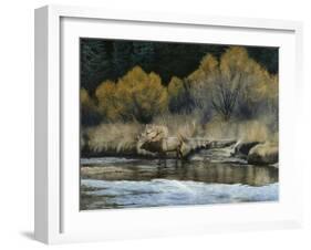 Elk-Rusty Frentner-Framed Giclee Print