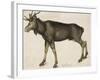 Elk-Albrecht Dürer-Framed Art Print