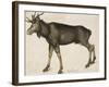 Elk-Albrecht Dürer-Framed Art Print