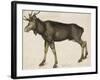 Elk-Albrecht Dürer-Framed Art Print