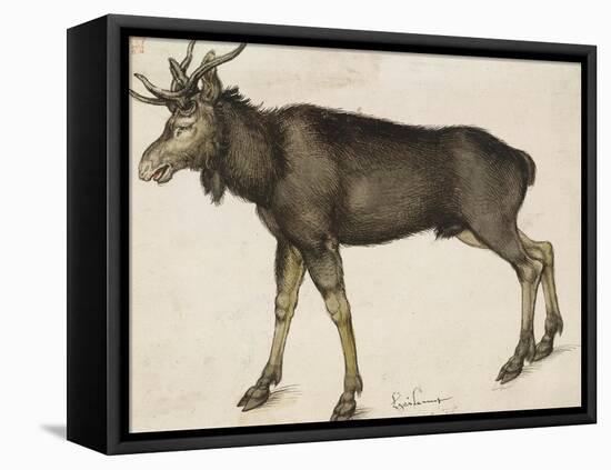 Elk-Albrecht Dürer-Framed Stretched Canvas