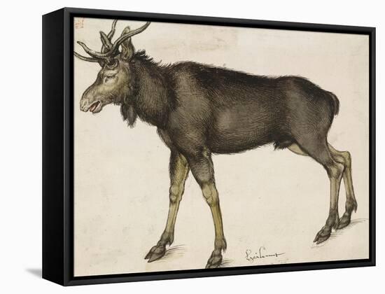 Elk-Albrecht Dürer-Framed Stretched Canvas