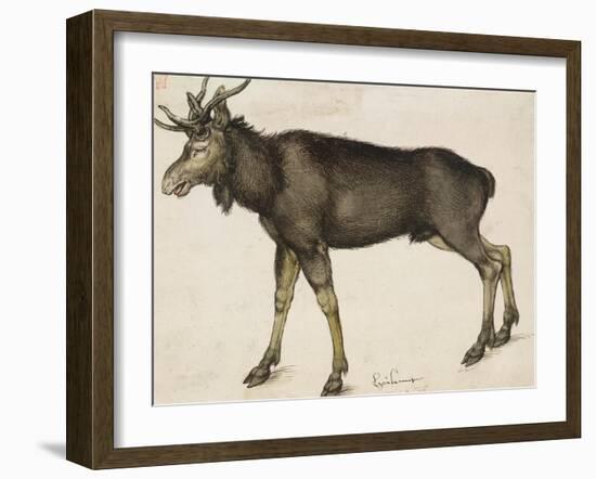 Elk-Albrecht Dürer-Framed Art Print