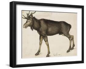 Elk-Albrecht Dürer-Framed Art Print