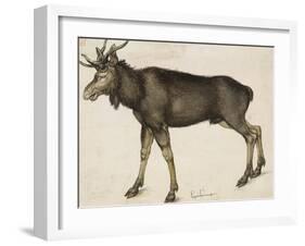 Elk-Albrecht Dürer-Framed Art Print